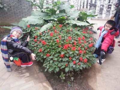 img20140307wa0073